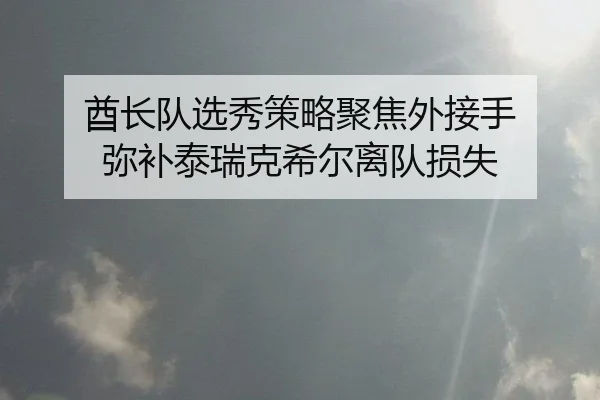 酋长队选秀策略聚焦外接手 弥补泰瑞克希尔离队损失