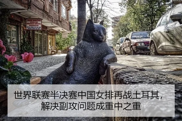 世界联赛半决赛中国女排再战土耳其，解决副攻问题成重中之重