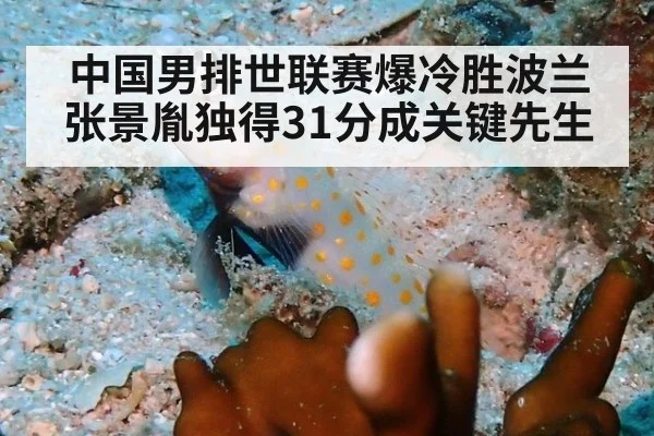 中国男排世联赛爆冷胜波兰 张景胤独得31分成关键先生